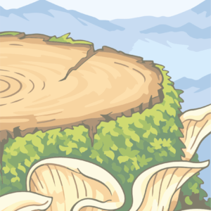 Loss, Regret & Forgiveness